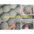 Pitch 2cm-6cm Hex steel